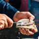 Image for article titled Oyster sting operation has prevented theft since 2016